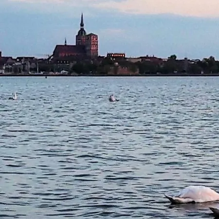 10 In Am Strelasund Altefähr
